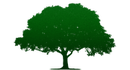 Tree Service Plano logo