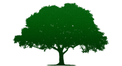 tree service McKinney  logo